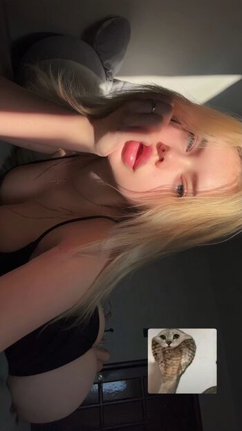 Eva_benz_free