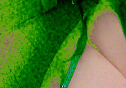 Full leaked Evawishx private onlyfans photo