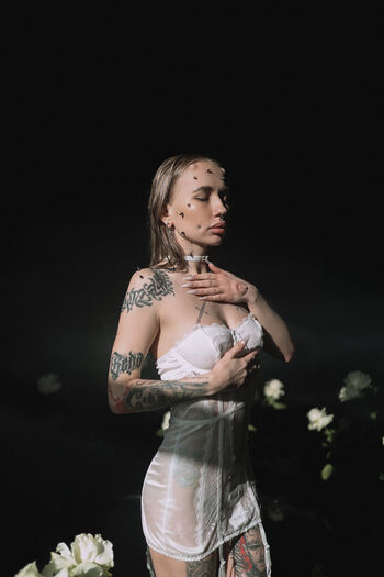 kitbober