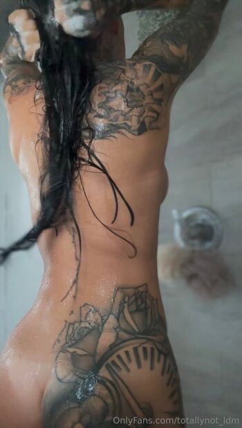 ldmfitmodel