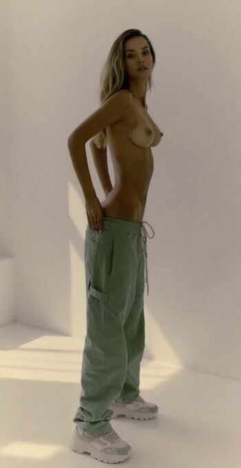 Nicola Cavanis