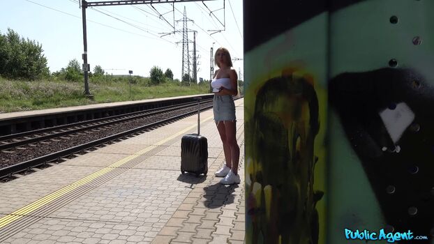 Public Agent