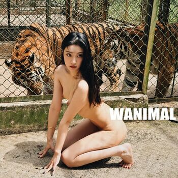 Full leaked Qinweiyingjie private onlyfans photo