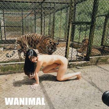 Full leaked Qinweiyingjie private onlyfans photo