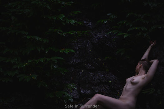 safeinsurrender