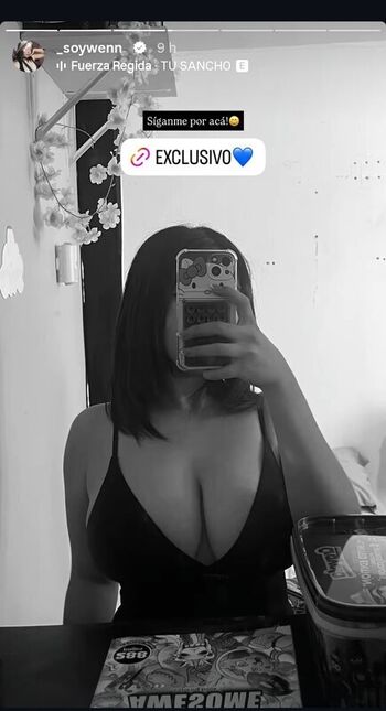 _soywenn