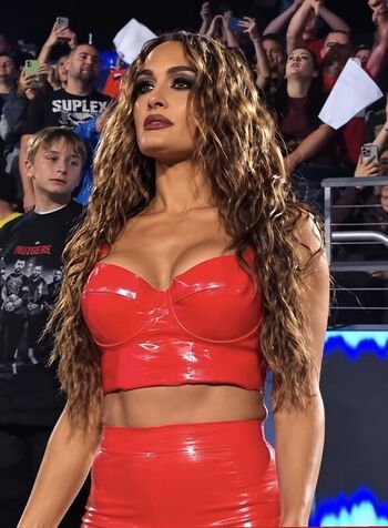 The Bella Twins