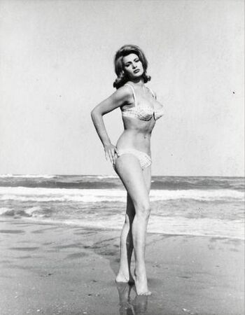 Vintage Starlets